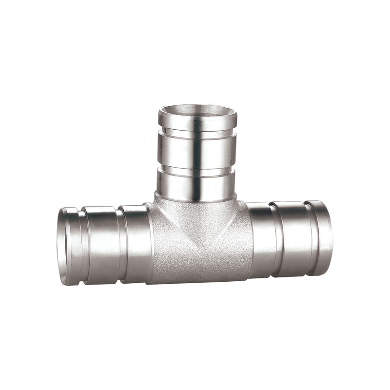 Chrome patella pretium aes bonum decet AMT-1418